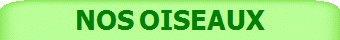 NOS OISEAUX